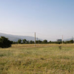 496 000 ლარის ღირებულების 8 041 კვ.მ ფართობის სახელმწიფო მიწების მოტყუებით დაუფლების ფაქტზე სამი პირი დააკავეს