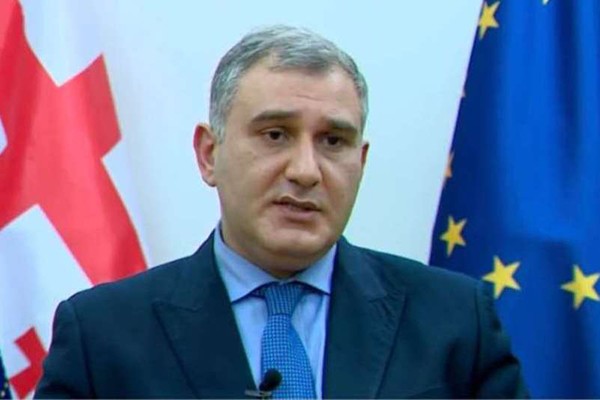 მიხეილ სარჯველაძე: ვერ ვიტყოდი, რომ აუცილებლობა იყო [თურქეთში გადაყვანა], ეს იყო უბრალოდ ოჯახის თხოვნა