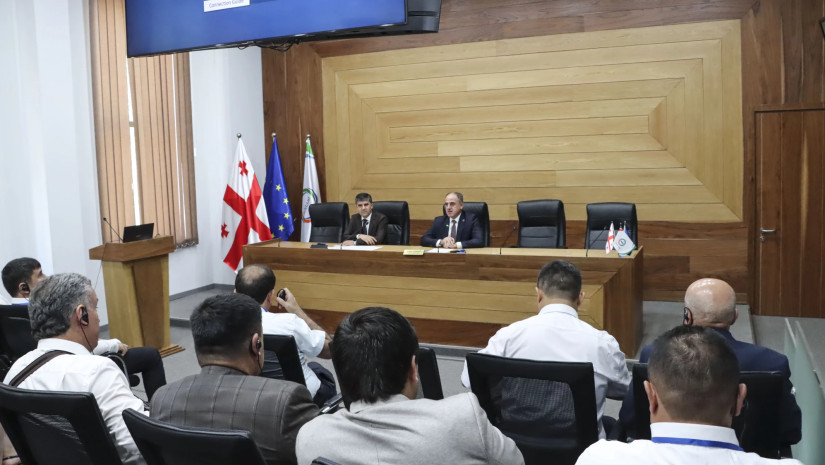 სემეკში ტაჯიკეთის ენერგეტიკის სექტორის წარმომადგენლებთან შეხვედრა გაიმართა