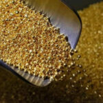 There are 70 550 tons of gold in the earth's crust, most of which are in the territory of Russia, Australia and South Africa - Live Science