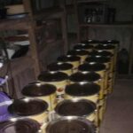 An unregistered dairy processing plant was identified in the village of Kumisi in Gardabani