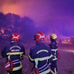 In France, forest fires covered more than 1,500 hectares