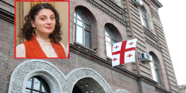 “მეც შევუერთდი სამსახურიდან დათხოვნილ მოხელეთა რიგებს” – არგენტინაში საელჩოს მრჩეველი ნინო ფიფია