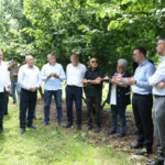 „ჩვენი ქვეყანა თხილის ექსპორტიორი ქვეყნების მსოფლიო შვიდეულში შედის“ – დავით სონღულაშვილი