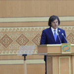 Georgia's vision is clear, we are not just trying to become a hub, our goal is to connect multi -functional, multi -faceted hub continents, markets, nations and ideas