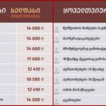 Salome Simonia: Parliamentarians increased their salary by 7,000 GEL and became 11 680…
