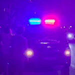 2 participants of the rally were arrested at Rustaveli at night