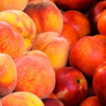 From May 1 to August 3, 2025, $ 23.4 million peaches and Vashlatama were exported from Georgia