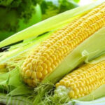Corn is expensive in the global market, Georgia is imported, corn production in the local market has decreased