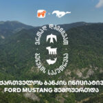 ერთად დავიცვათ ბუნების საკუთრება – საქართველოს ბანკის და CNF-ის კამპანიაში Ford Mustang-იც მონაწილეობს