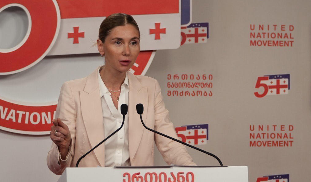 თინა ბოკუჩავა – უვიზო რეჟიმის შეჩერების საფრთხე რეალურია, თუმცა ვმუშაობთ, რომ ეს შეეხოს მხოლოდ ივანიშვილის რეჟიმს, მის გარემოცვას და არა მოქალაქეებს