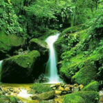 The sounds of nature help to make car noise easier - research