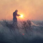 Gases allocated by fires in Europe have increased to record level
