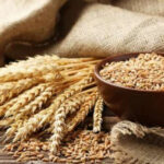 What challenges are the Georgian wheat market face? (bm.ge)