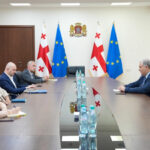 Mikheil Sarjveladze met with the members of the commission set up in the mandatory treatment process of drug addicts - what issues did they discuss?