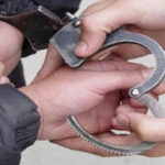 A person who killed the animal with a pneumatic weapon - a crime under 6 years of imprisonment