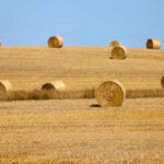 Polish farmers began reminding them of the reality of village life for tourists