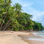 The beaches of the world are in danger of destruction