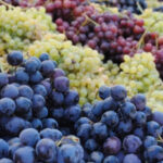 Grape imports in the homeland of wine are growing every year