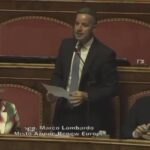 Italian Senator: Now it is up to us to make Mzia's verdict as a victory