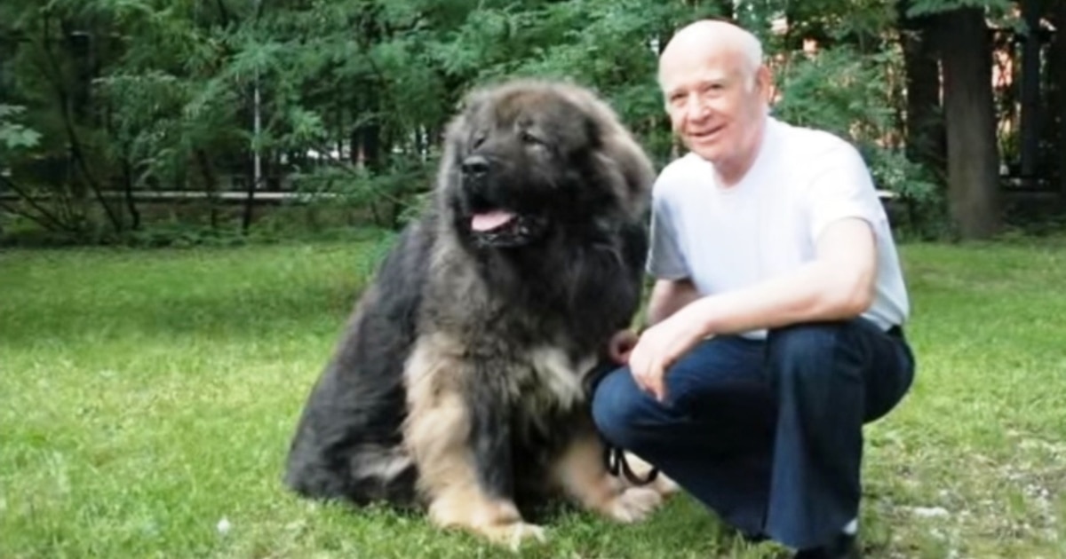 ბათუმის სასამართლო: ნოდარ იმნაძე ასლან აბაშიძემ მოკლა