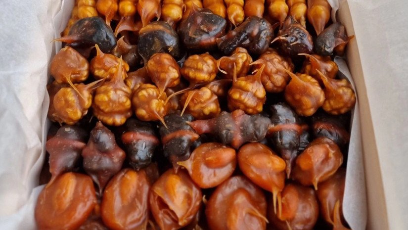 ბათუმსა და თბილისში ბრენდული მაღაზიების გახსნამ გაამართლა – „ჩაროზი“