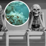 Microplastation was found in human bones!
