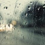 სოციალური მედია: წვიმდა. გლოვოთი გამოვიძახეთ ქართული ღვინო. შეკვეთა მოიტანა ორმა პაკისტანელმა (ვიდეო)