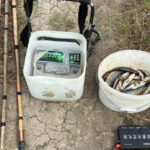 In Kakheti and Kvemo Kartli, illegal fishing has been identified in Kakheti and Kvemo Kartli