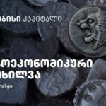 Manage of currency risks and capabilities in multi -source economies