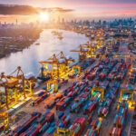WTO increased the forecast of global trade in 2025 from 0.9%to 2.4%