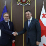 David Songulashvili met with the French ambassador - what did they talk about?