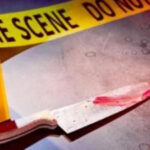 According to the Ministry of Internal Affairs, a person who was wounded by a knife was wounded on Ketevan Queen's Avenue