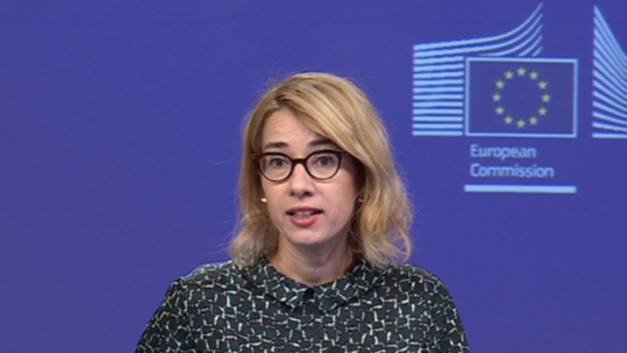 კარგი იქნება, თუ ქართველი მაღალჩინოსნები სარკეში ჩაიხედავენ — EU-ის პრესპიკერი