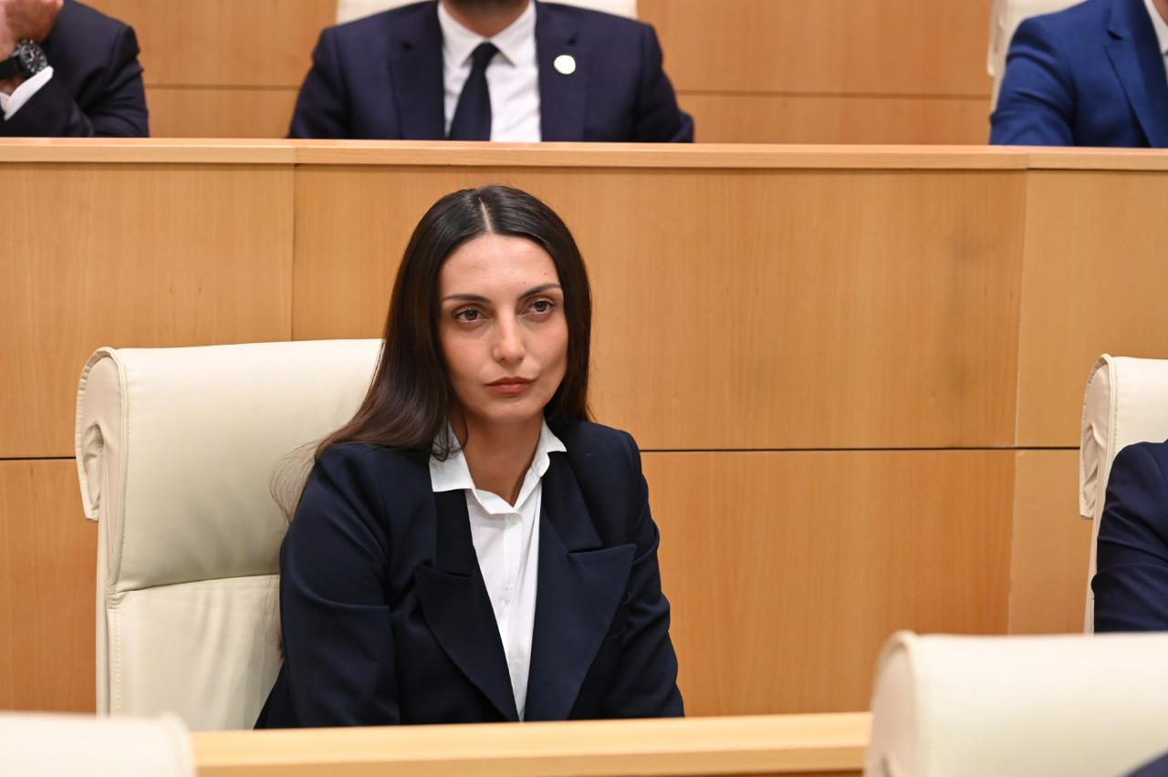 ვიკა ფილფანი – დიალოგს აზრი მაშინ აქვს, როცა ამ დიალოგის იდეას იაზრებ და იზიარებ – თუ „ქართული ოცნება“ მოწადინებულია, რომ ბრიუსელთან დიალოგი შედგეს, კეთილი ინებოს და ამისთვის ყველაფერი გააკეთოს – ახლა არაფერს აკეთებს