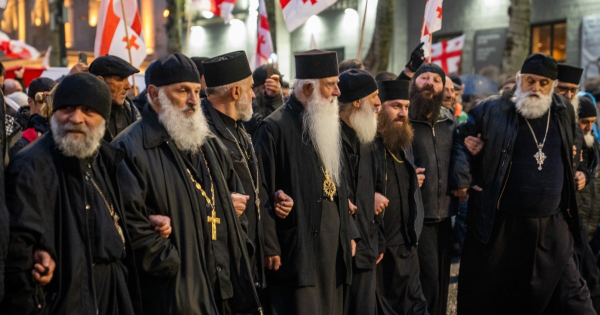 არაბული კომპანია „იგლ ჰილსის“ ინვესტიციის წინააღმდეგ გამართული აქციის მონაწილეები (ვიდეო)