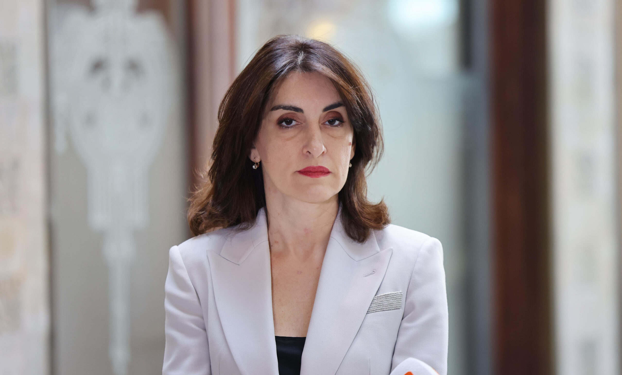 ეუთოს ბოლო შეხვედრაზე ბოჭორიშვილი აქციების დარბევის გამო გაკრიტიკეს