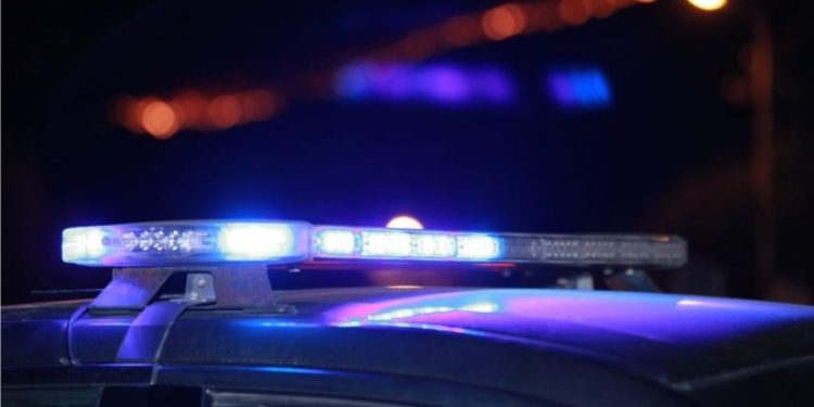 სადენების ქურდობის ფაქტზე ორი პირი დააკავეს