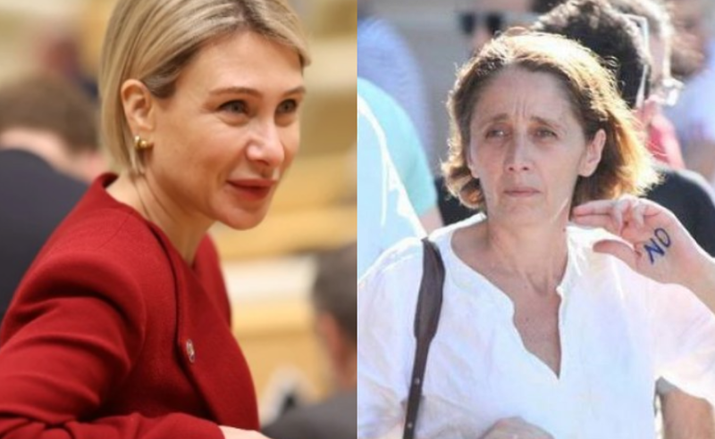 ნინო წილოსანზე დაწერილი პოსტის გამო, ნატა ფერაძის წინააღმდეგ საქმე აღძრეს