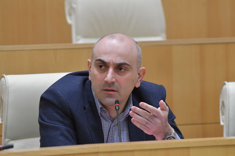 რაქვიაშვილი: პრემიერის შეცდომა (ვიდეო)