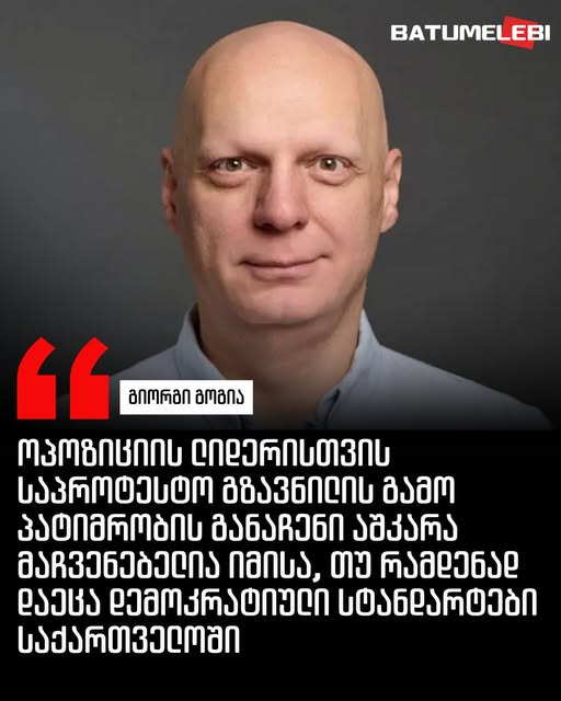 გიორგი გოგია: ელენე ხოშტარიას სისხლისსამართლებრივი დევნა ქვეყანაში განსხვავებული აზრის გამოხატვის წინააღმდეგ უფრო ფართომასშტაბიანი რეპრესიების ნაწილია