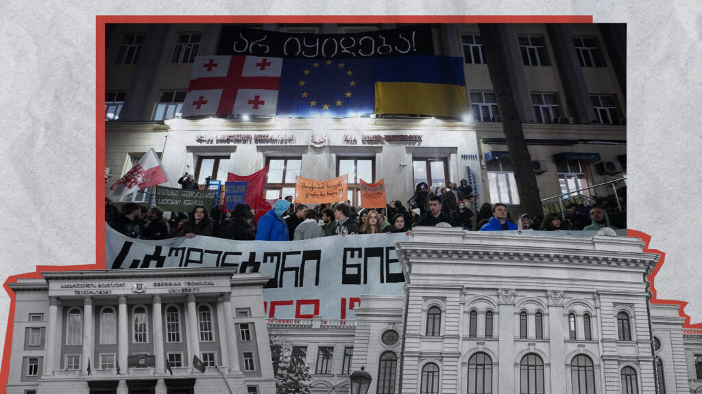 მედია: რა უძრავ ქონებას ფლობენ სახელმწიფო უნივერსიტეტები