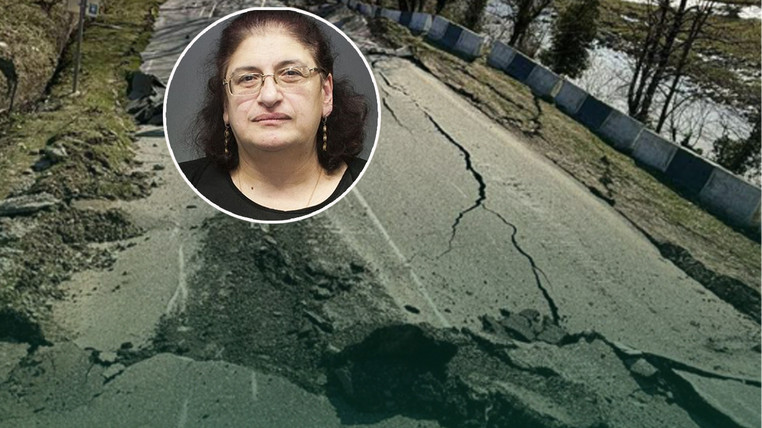 “ვაშლიჯვრის დასახლება მუდმივი მონიტორინგის ქვეშ უნდა იყოს – სტიქიური პროცესები უფრო გახშირდება, რისკის ზონაში 110 თემია”